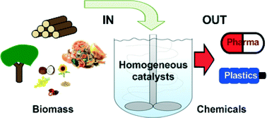 Graphical abstract: Homogeneous catalysis for the conversion of biomass and biomass-derived platform chemicals