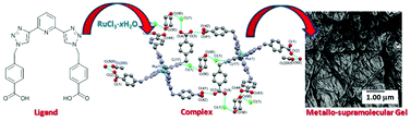 Graphical abstract: Synthesis, structural, photophysical and electrochemical studies of various d-metal complexes of btp [2,6-bis(1,2,3-triazol-4-yl)pyridine] ligands that give rise to the formation of metallo-supramolecular gels