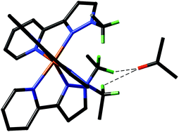 Graphical abstract