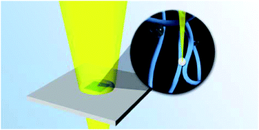 Detection and role of trace impurities in high-performance organic solar cells