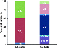 Carbohydrate and lignin are simultaneously solubilized from unpretreated switchgrass by microbial action at high temperature