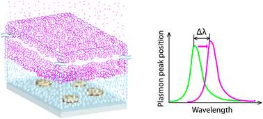 Diffusion and adsorption of dye molecules in mesoporous TiO2 photoelectrodes studied by indirect nanoplasmonic sensing