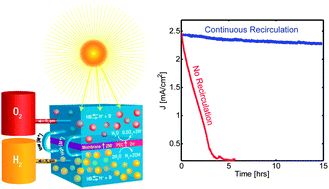 Robust production of purified H2 in a stable, self-regulating, and continuously operating solar fuel generator