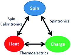 Graphical abstract: Spin caloritronics