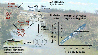 Graphical abstract: A critical assessment of the photodegradation of pharmaceuticals in aquatic environments: defining our current understanding and identifying knowledge gaps