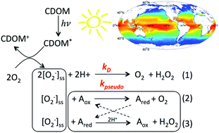 Graphical abstract: Blending remote sensing data products to estimate photochemical production of hydrogen peroxide and superoxide in the surface ocean