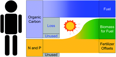 Graphical abstract: Energy positive domestic wastewater treatment: the roles of anaerobic and phototrophic technologies