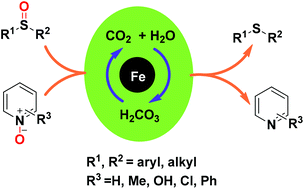 Graphical abstract: Reduction of sulfoxides and pyridine-N-oxides over iron powder with water as hydrogen source promoted by carbon dioxide