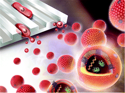 Graphical abstract: Microfluidic fabrication of cell-derived nanovesicles as endogenous RNA carriers