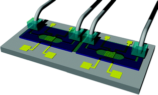 Graphical abstract: A differential dielectric affinity glucose sensor