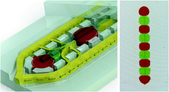 Graphical abstract: Interdroplet bilayer arrays in millifluidic droplet traps from 3D-printed moulds