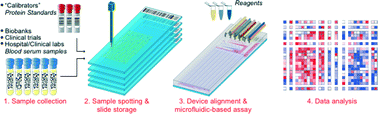 Graphical abstract: A 1024-sample serum analyzer chip for cancer diagnostics