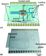 Graphical abstract: Radiolabelling diverse positron emission tomography (PET) tracers using a single digital microfluidic reactor chip