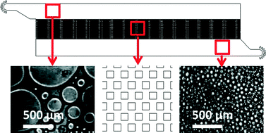 Graphical abstract: The microfluidic post-array device: high throughput production of single emulsion drops