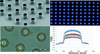 Graphical abstract: Donut-shaped chambers for analysis of biochemical processes at the cellular and subcellular levels