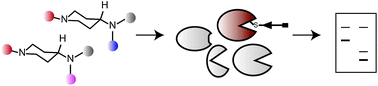 Cysteine-reactive chemical probes based on a modular 4-aminopiperidine scaffold