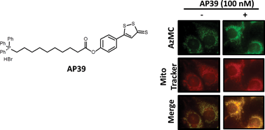 AP39 [(10-oxo-10-(4-(3-thioxo-3H-1,2-dithiol-5-yl)- phenoxy)decyl)triphenylphosphonium bromide] a mitochondria-targeted hydrogen sulfide donor