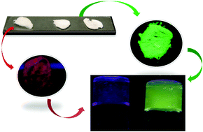 Graphical abstract: Supramolecular luminescent hydrogels based on β-amino acid and lanthanide ions obtained by self-assembled hydrothermal reactions