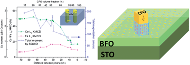 Strong magnetic enhancement in self-assembled multiferroic-ferrimagnetic nanostructures