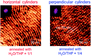 Control of 10 nm scale cylinder orientation in self-organized sugar-based block copolymer thin films