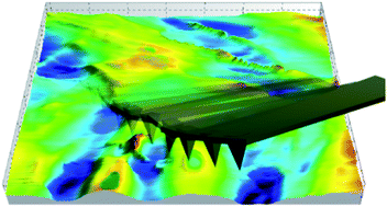 High-speed AFM for scanning the architecture of living cells