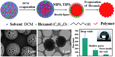 Graphical abstract: Facile preparation of hierarchically porous polymer microspheres for superhydrophobic coating