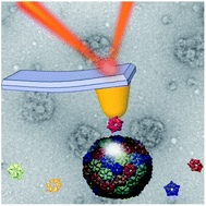 Nanoscale. 2014; 6(5): 2702-2709