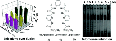 Synthesis and binding studies of novel di-substituted phenanthroline compounds with genomic promoter and human telomeric DNA G-quadruplexes 