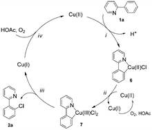 Graphical abstract: Copper-catalyzed aromatic C–H bond halogenation with lithium halides under aerobic conditions