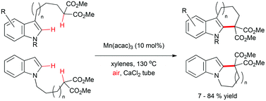 Graphical abstract: Manganese-catalyzed aerobic dehydrogenative cyclization toward ring-fused indole skeletons