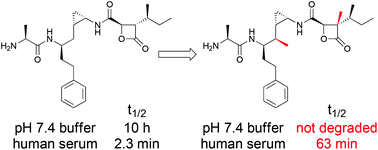 Graphical abstract: Design and synthesis of the stabilized analogs of belactosin A with the unnatural cis-cyclopropane structure