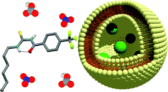 Acylthioureas as anion transporters: the effect of intramolecular hydrogen bonding
