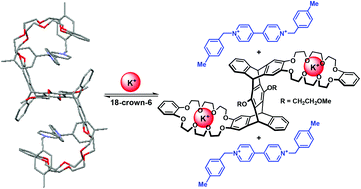 Complexation of pentiptycene-derived trans-bis(crown ether) host with different terminal functional paraquat derivatives in solution and solid state: a switchable complexation process controlled by potassium ions