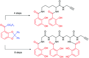 Diphenyl-benzo[1,3]dioxole-4-carboxylic acid pentafluorophenyl ester: a convenient catechol precursor in the synthesis of siderophore vectors suitable for antibiotic Trojan horse strategies