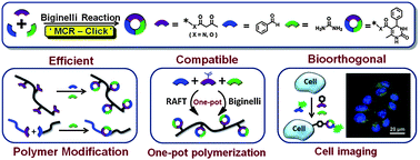 Graphical abstract: A new insight into the Biginelli reaction: the dawn of multicomponent click chemistry?