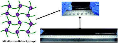 Graphical abstract: Highly stretchable and resilient hydrogels from the copolymerization of acrylamide and a polymerizable macromolecular surfactant