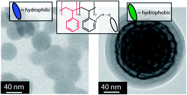 Graphical abstract: Supramolecular guests in solvent driven block copolymer assembly: from internally structured nanoparticles to micelles