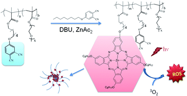 Graphical abstract: A novel approach to synthesize polymers for potential photodynamic therapy: from benzenedinitrile to phthalocyanine