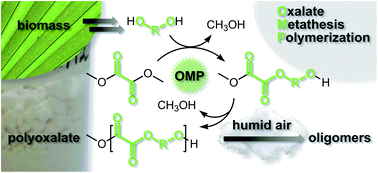 Graphical abstract: Polyoxalates from biorenewable diols via Oxalate Metathesis Polymerization