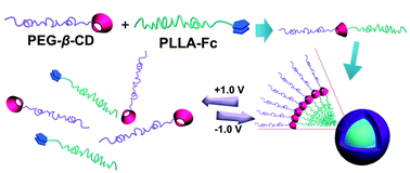 Graphical abstract: Voltage-responsive micelles based on the assembly of two biocompatible homopolymers