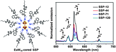 Graphical abstract: Structurally dependent self-assembly and luminescence of polyoxometalate-cored supramolecular star polymers