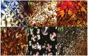 Polarized optical textures of the new scaffolds