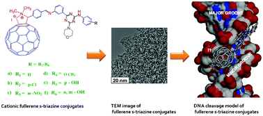 Graphical abstract: Novel cationic fullerene derivatized s-triazine scaffolds as photoinduced DNA cleavage agents: design, synthesis, biological evaluation and computational investigation