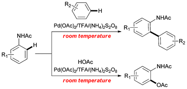 Graphical abstract: Palladium-catalyzed C–H activation of anilides at room temperature: ortho-arylation and acetoxylation