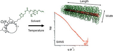 Graphical abstract: Structure elucidation and control of cyclic peptide-derived nanotube assemblies in solution