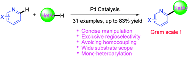 Graphical abstract: Pd-catalyzed oxidative C–H/C–H cross-coupling of pyridines with heteroarenes