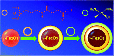 Graphical abstract: A platinum anticancer theranostic agent with magnetic targeting potential derived from maghemite nanoparticles