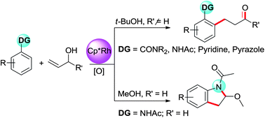 Graphical abstract: Rh(iii)-catalyzed ortho-oxidative alkylation of unactivated arenes with allylic alcohols