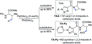 Graphical abstract: 1,2,3-Triazoles as versatile directing group for selective sp2 and sp3 C–H activation: cyclization vs substitution