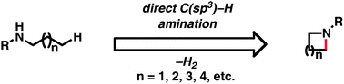 Graphical abstract: Intramolecular C(sp3)–H amination